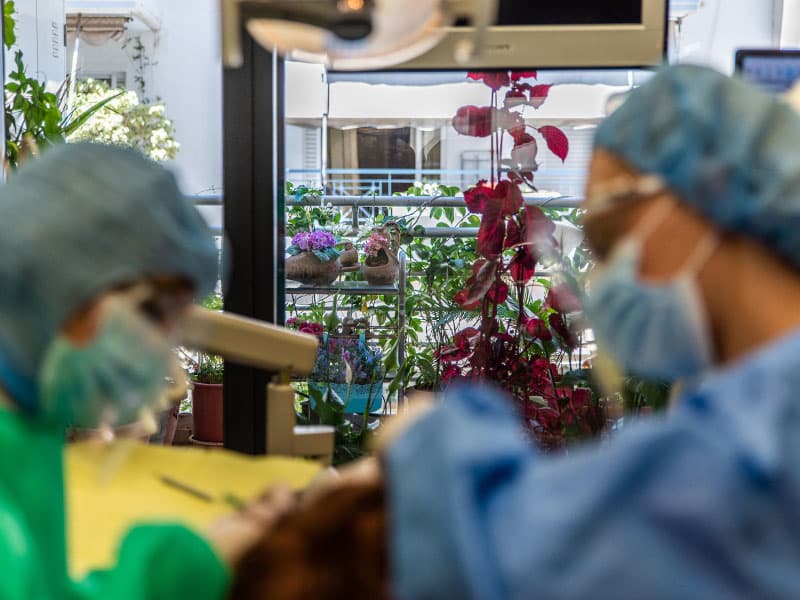 Φωτογραφία 11